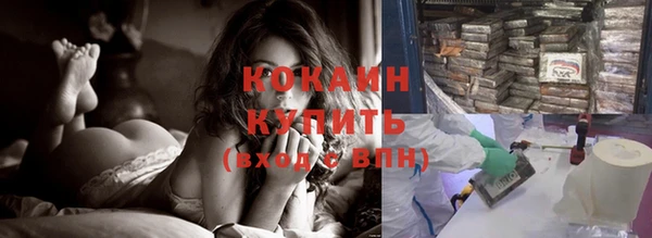 дмт Новозыбков
