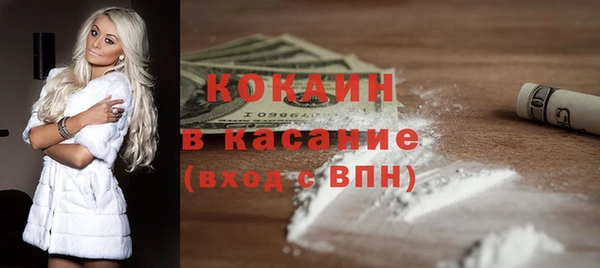 индика Нягань