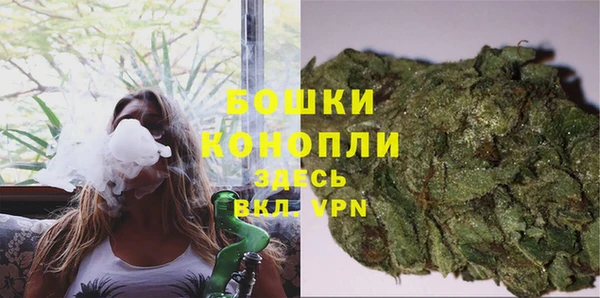 дмт Новозыбков