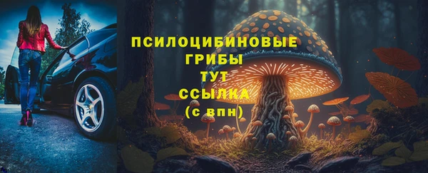 герыч Новодвинск