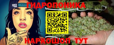 кокс Уссурийск