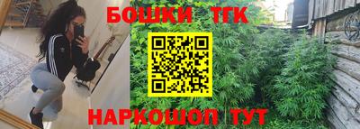 индика Усть-Джегута