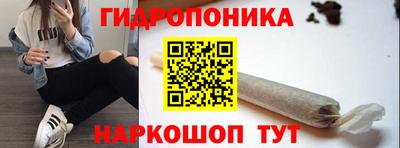 индика Усть-Джегута