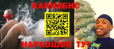 индика Усть-Джегута