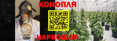 индика Усть-Джегута