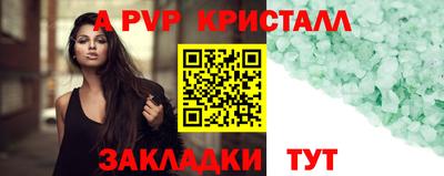 индика Усть-Джегута